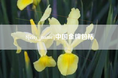 昆山中国金牌包括