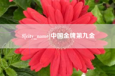 昆山中国金牌第九金