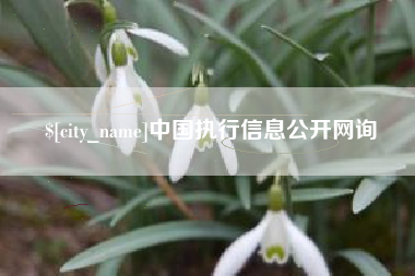 昆山中国执行信息公开网询