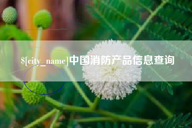 昆山中国消防产品信息查询