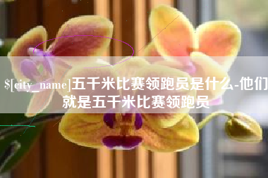 昆山五千米比赛领跑员是什么-他们就是五千米比赛领跑员