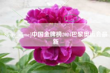 昆山中国金牌榜2024巴黎奥运会最新