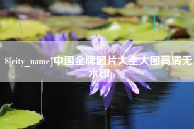 昆山中国金牌图片大全大图高清无水印