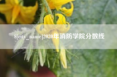 昆山2020年消防学院分数线