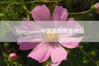 昆山中国消防救援网站