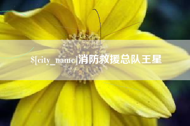 昆山消防救援总队王星