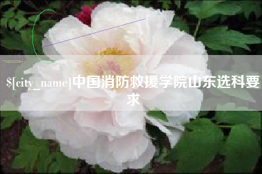 昆山中国消防救援学院山东选科要求