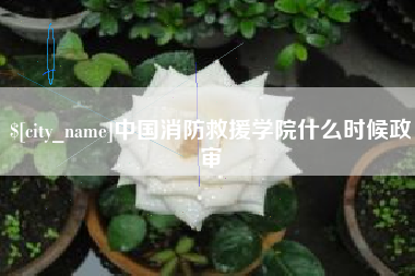 昆山中国消防救援学院什么时候政审