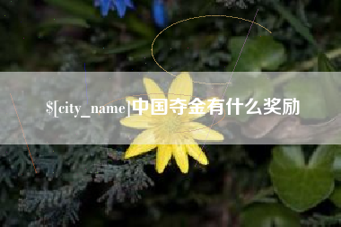 昆山中国夺金有什么奖励