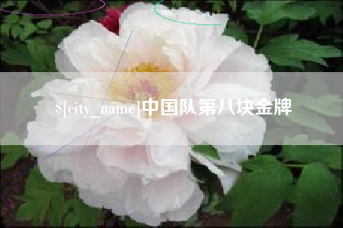 昆山中国队第八块金牌