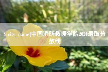 昆山中国消防救援学院2021录取分数线