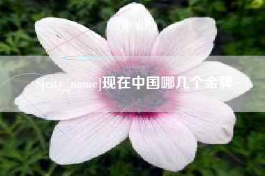 昆山现在中国哪几个金牌