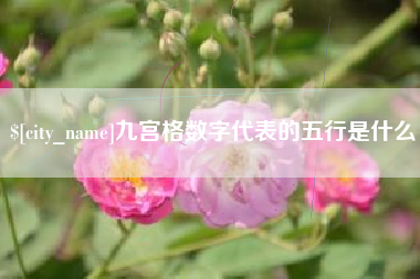 昆山九宫格数字代表的五行是什么