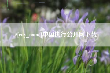 昆山中国执行公开网下载
