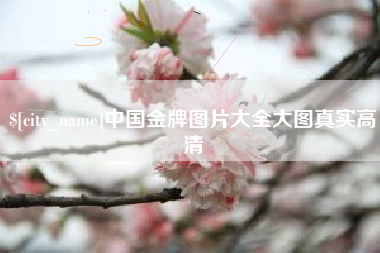 昆山中国金牌图片大全大图真实高清