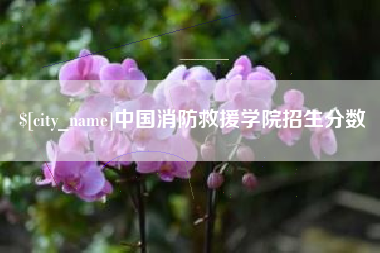 昆山中国消防救援学院招生分数