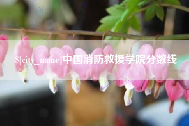 昆山中国消防救援学院分数线