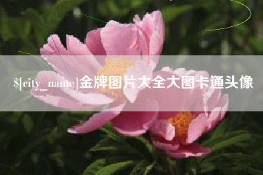 昆山金牌图片大全大图卡通头像
