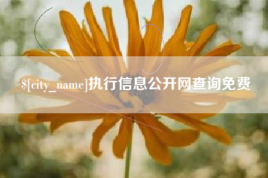 昆山执行信息公开网查询免费