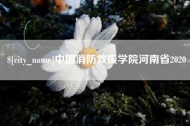 昆山中国消防救援学院河南省2020